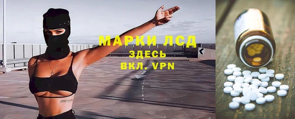 прущий лед Алзамай