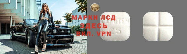 прущий лед Алзамай